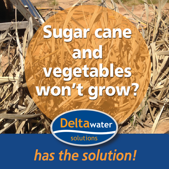 Salinity causing problems with your fruit and vegetables