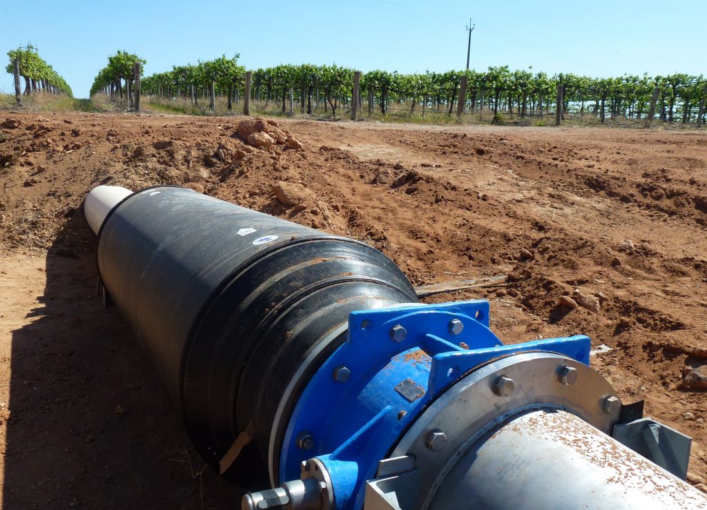blocked irrigation systems, algae, salinity, grapes