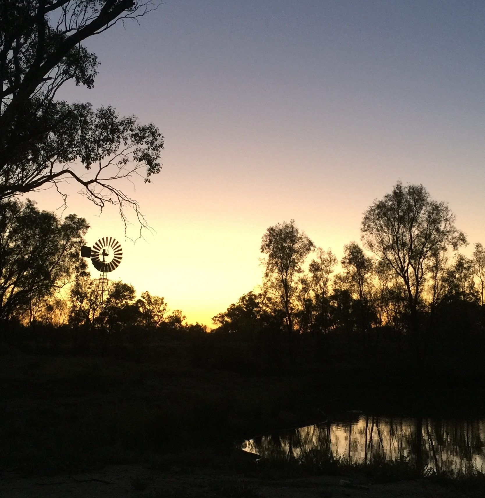 Australian water treatment company success Delta Water