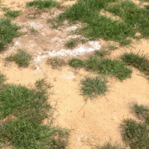 salinity water treatment
