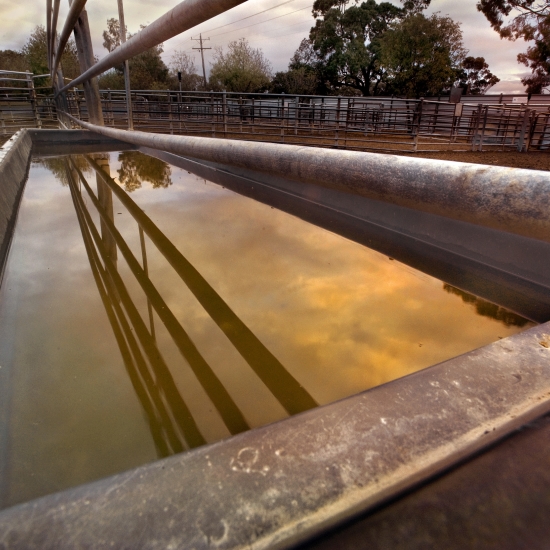 bore water, pumps and irrigation, water supply, DELTAwater
